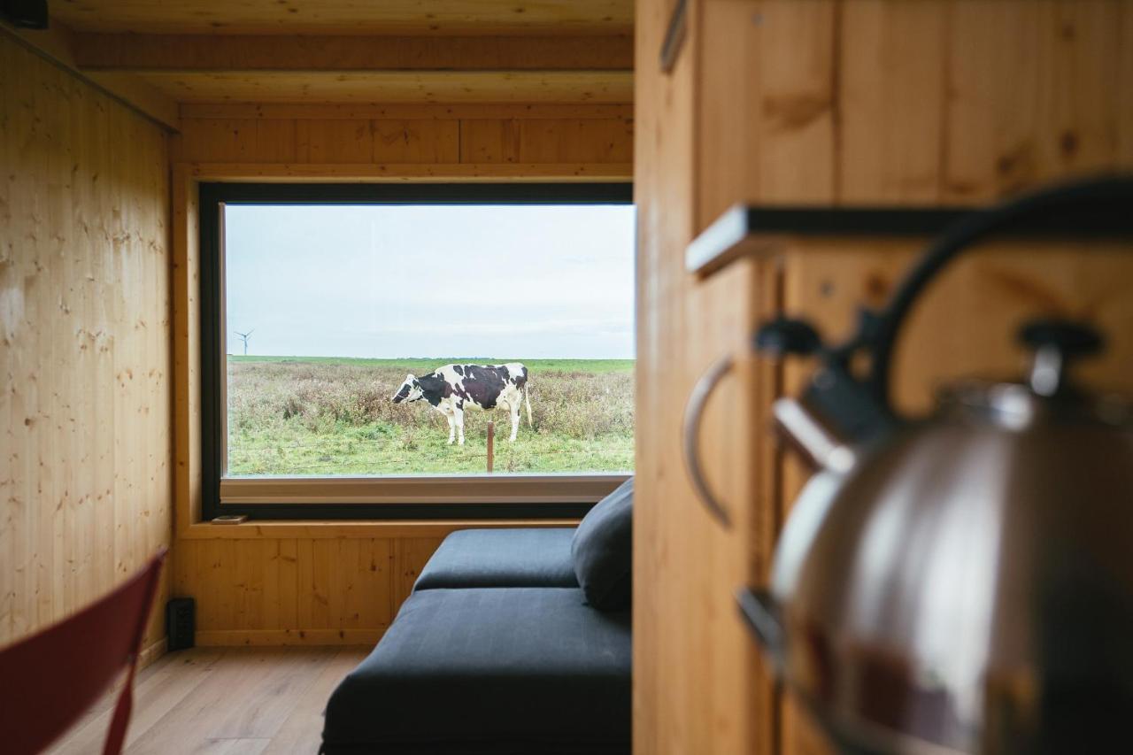 Tiny House Nature 9 Zur Kuhweide - Green Tiny Village Harlesiel Carolinensiel Eksteriør billede