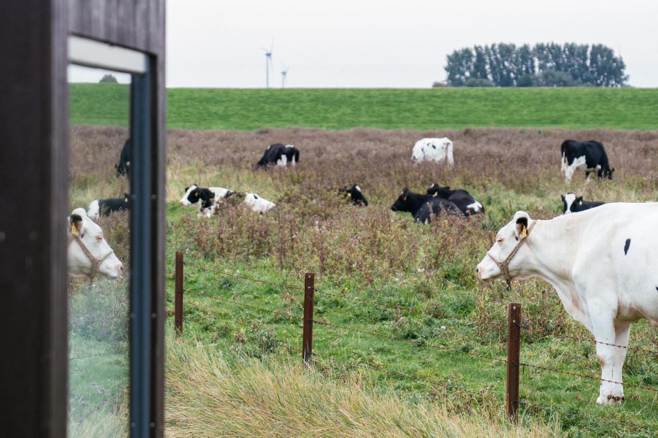 Tiny House Nature 9 Zur Kuhweide - Green Tiny Village Harlesiel Carolinensiel Eksteriør billede